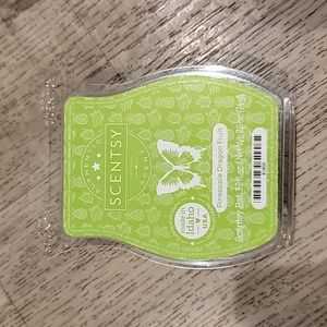 Scentsy pineapple dragon fruit bar